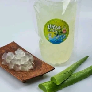 nata de aloe vera